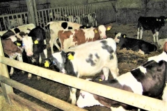 Passage-Eco-Fields-008