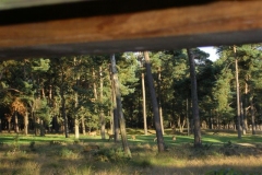 fietsdag-passage-8-9-09-032