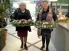 16-12-201-chakel-bruine-meren